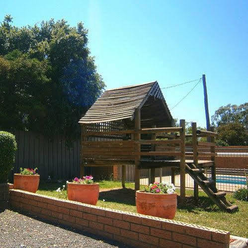 Aaron Inn Motel Narrabri Ngoại thất bức ảnh